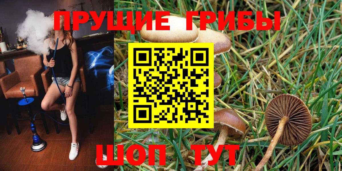 Галлюциногенные грибы прущие грибы  Вход с VPN  Кировск 